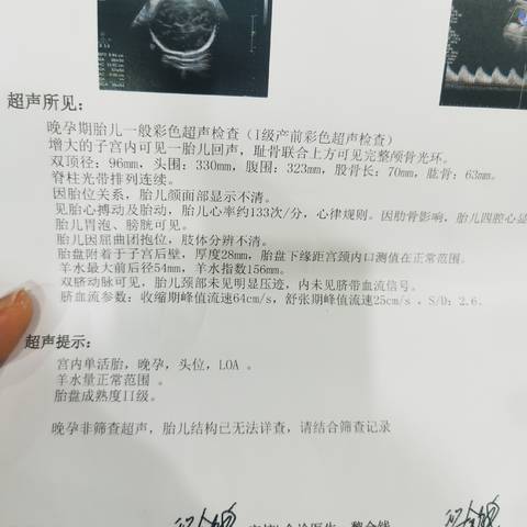 journal_insert_pic_4123717532