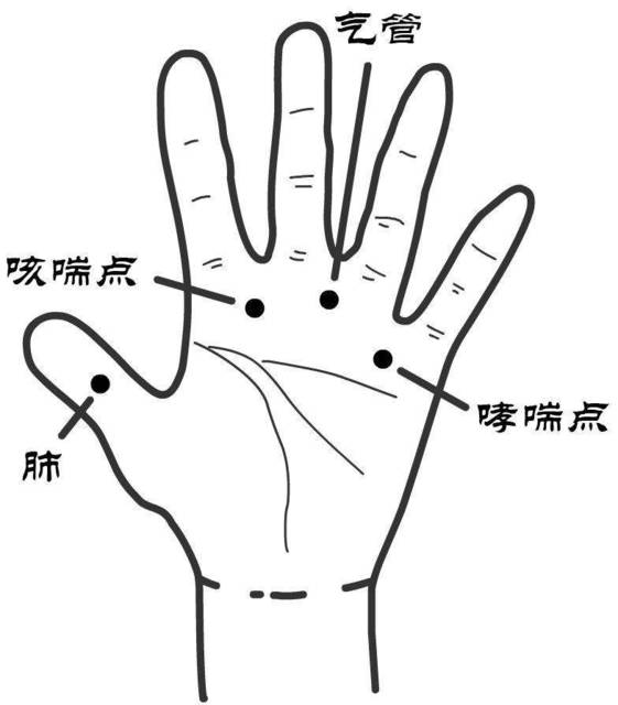 主要针对调理长时间咳嗽,咳喘,频繁咳嗽,慢性支气管炎等病症