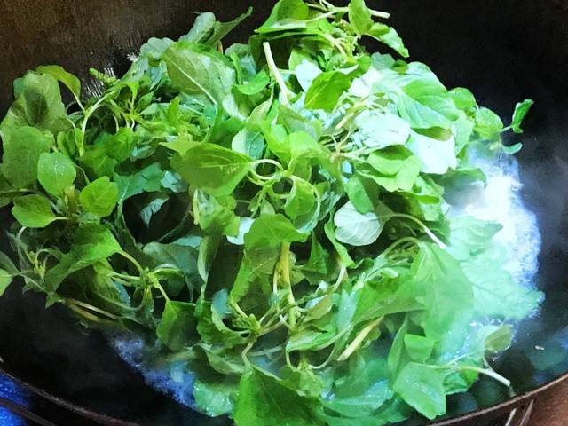 夏天亲子的美食,清热下火上汤巨野菜,你吃过制作美味活动总结常见图片