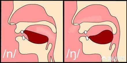 宝宝拼音n\/l发音不准,怎么办?