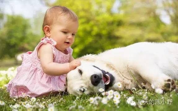 关于过敏和过敏测试的一些信息