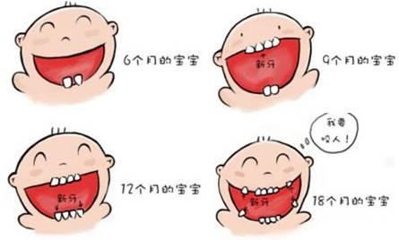 孩子出牙期,长在牙齿上的小秘密!_孩子长牙期