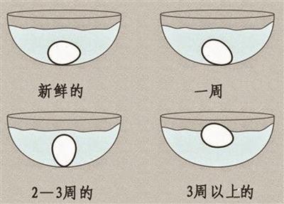 你会给宝宝鉴别新鲜的鸡蛋吗?_鸡蛋加工方便