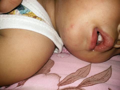 journal_insert_pic_545040322