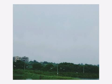 journal_insert_pic_546223876