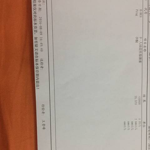 journal_insert_pic_547899141