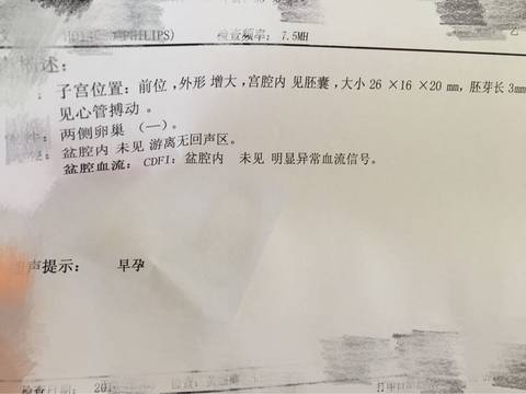 journal_insert_pic_547678822