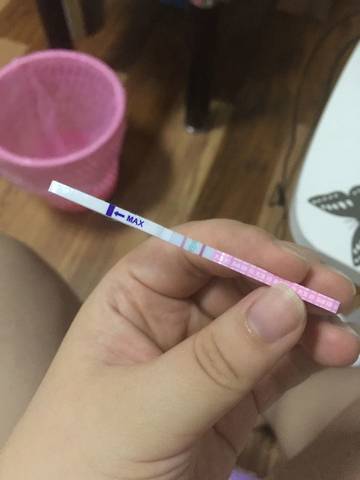 journal_insert_pic_549355625
