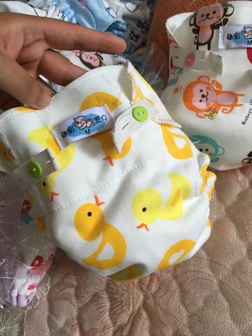 journal_insert_pic_549290667