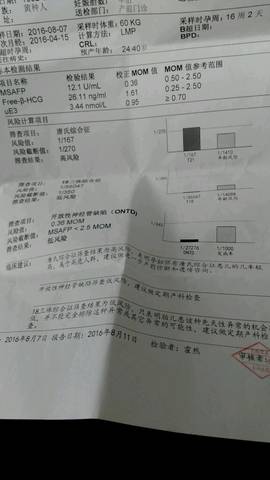 journal_insert_pic_549674077