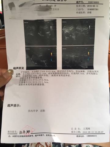 journal_insert_pic_550588270