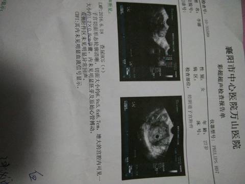 journal_insert_pic_552083571