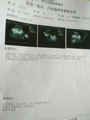 journal_insert_pic_555443612