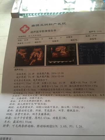 journal_insert_pic_555086721