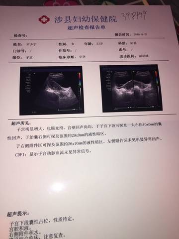 journal_insert_pic_555779172