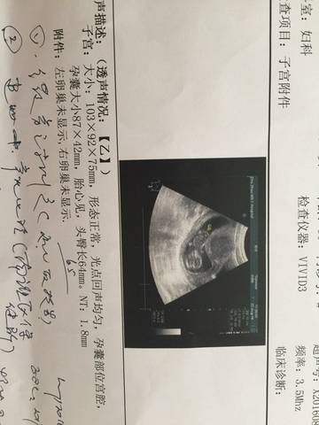 journal_insert_pic_556502516