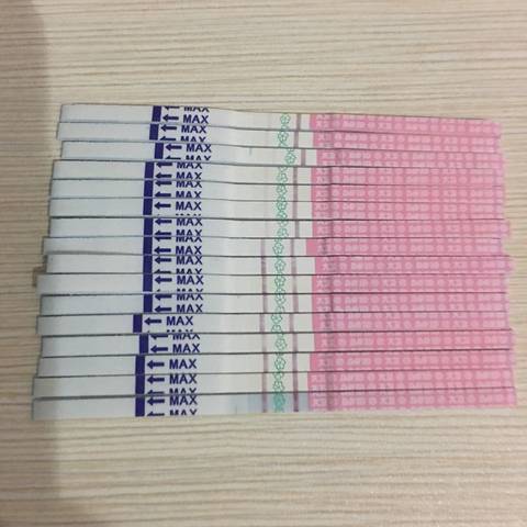 journal_insert_pic_558134241