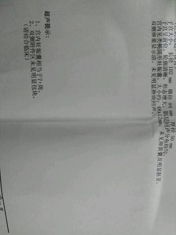 journal_insert_pic_559258333