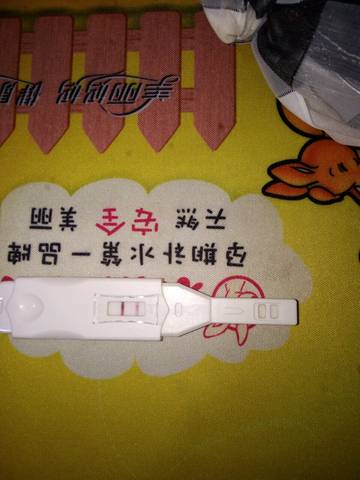 journal_insert_pic_560788195