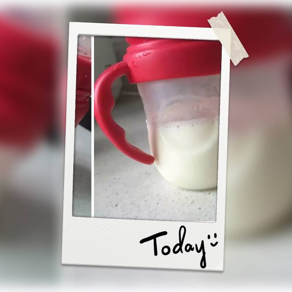 journal_insert_pic_561735650