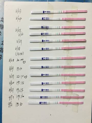 journal_insert_pic_564131036