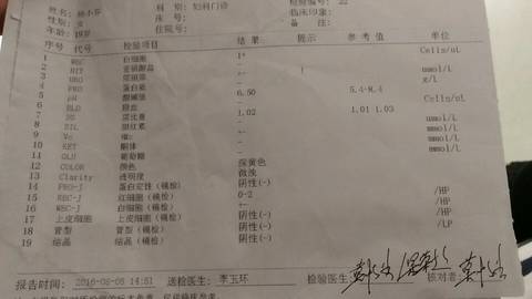journal_insert_pic_565468856