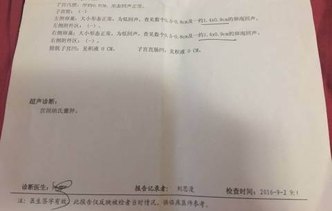 journal_insert_pic_565484459