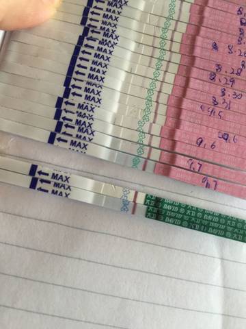 journal_insert_pic_566732983