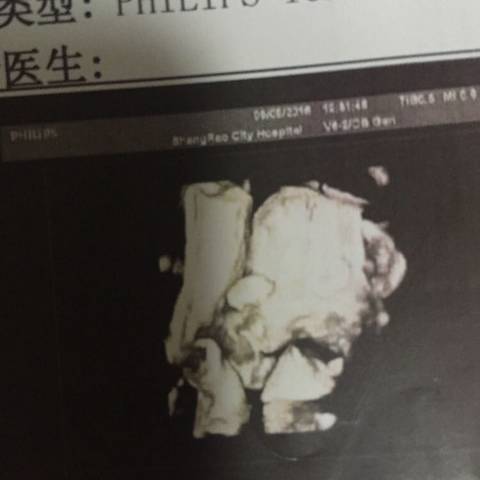 journal_insert_pic_568225122
