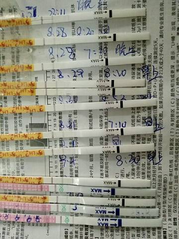 journal_insert_pic_568067120