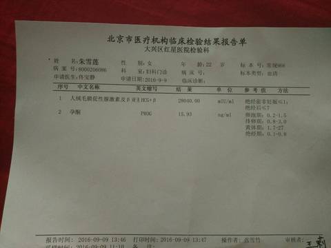 journal_insert_pic_568426582