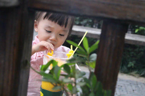 journal_insert_pic_569794600