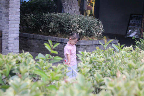 journal_insert_pic_569794630