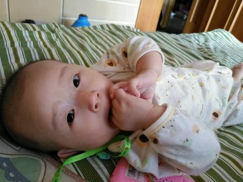 journal_insert_pic_570652863