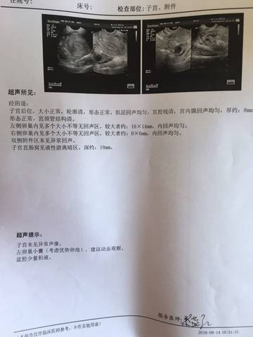 journal_insert_pic_570924626