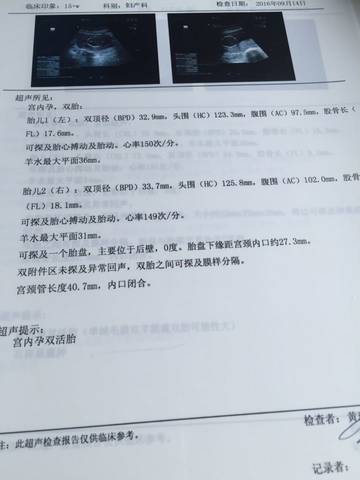 journal_insert_pic_570912390