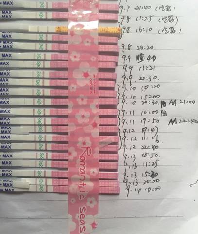 journal_insert_pic_570874242
