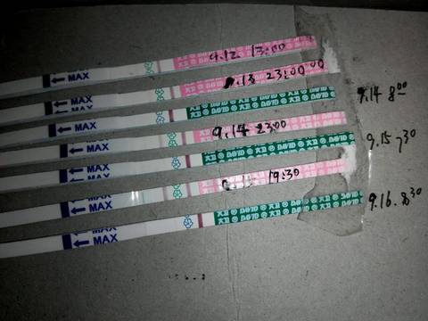 journal_insert_pic_572025210