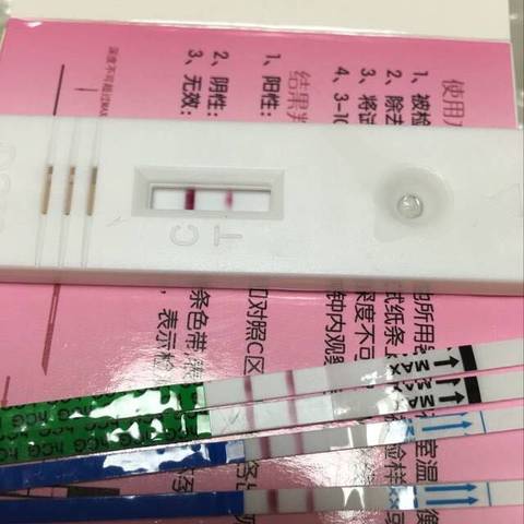 journal_insert_pic_572764817