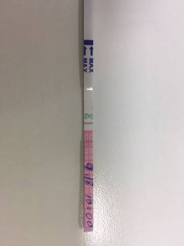 journal_insert_pic_573345347