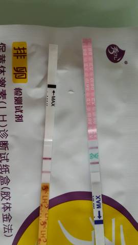 journal_insert_pic_574432254