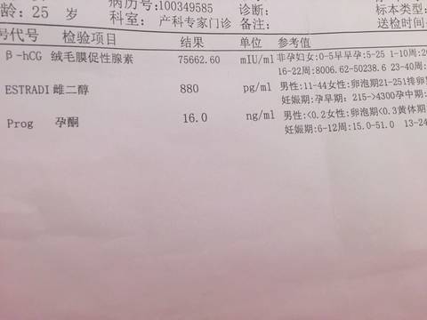 journal_insert_pic_574335254