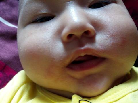 journal_insert_pic_574949275