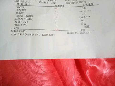 journal_insert_pic_575044726