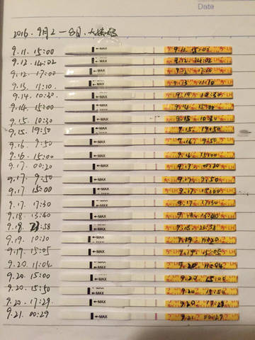 journal_insert_pic_574892663