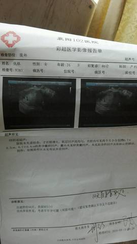 journal_insert_pic_576013286