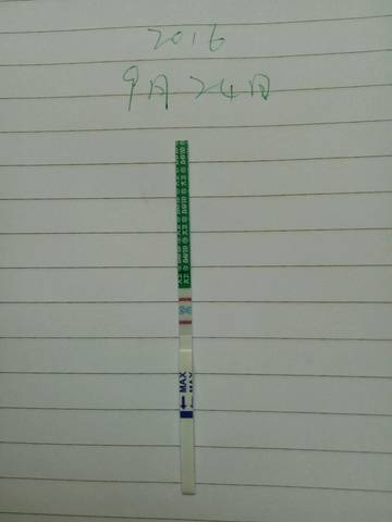 journal_insert_pic_577000007