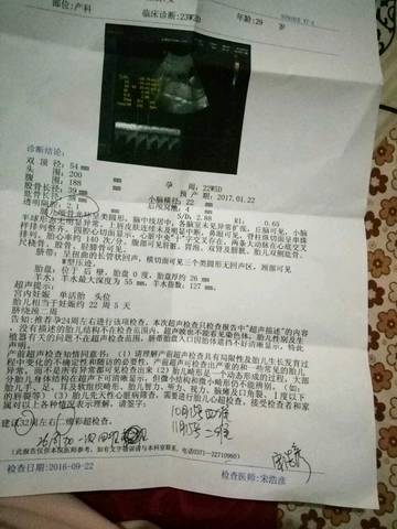 journal_insert_pic_576873860
