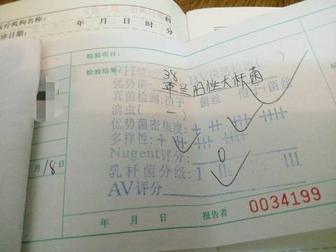 journal_insert_pic_577575451