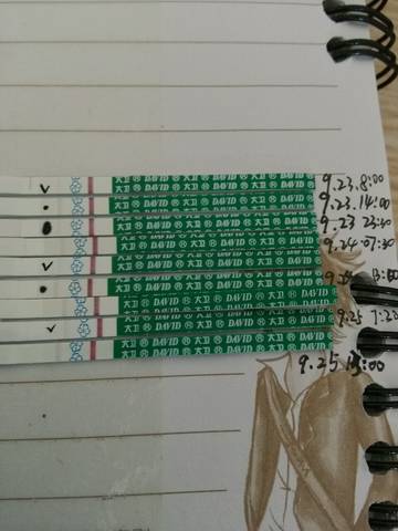 journal_insert_pic_577710308